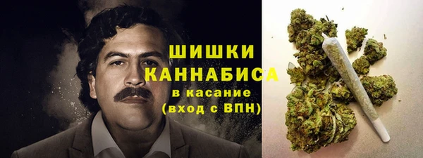 apvp Верея