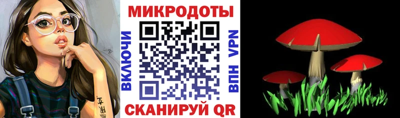 магазин    Верхний Тагил  Галлюциногенные грибы мухоморы 
